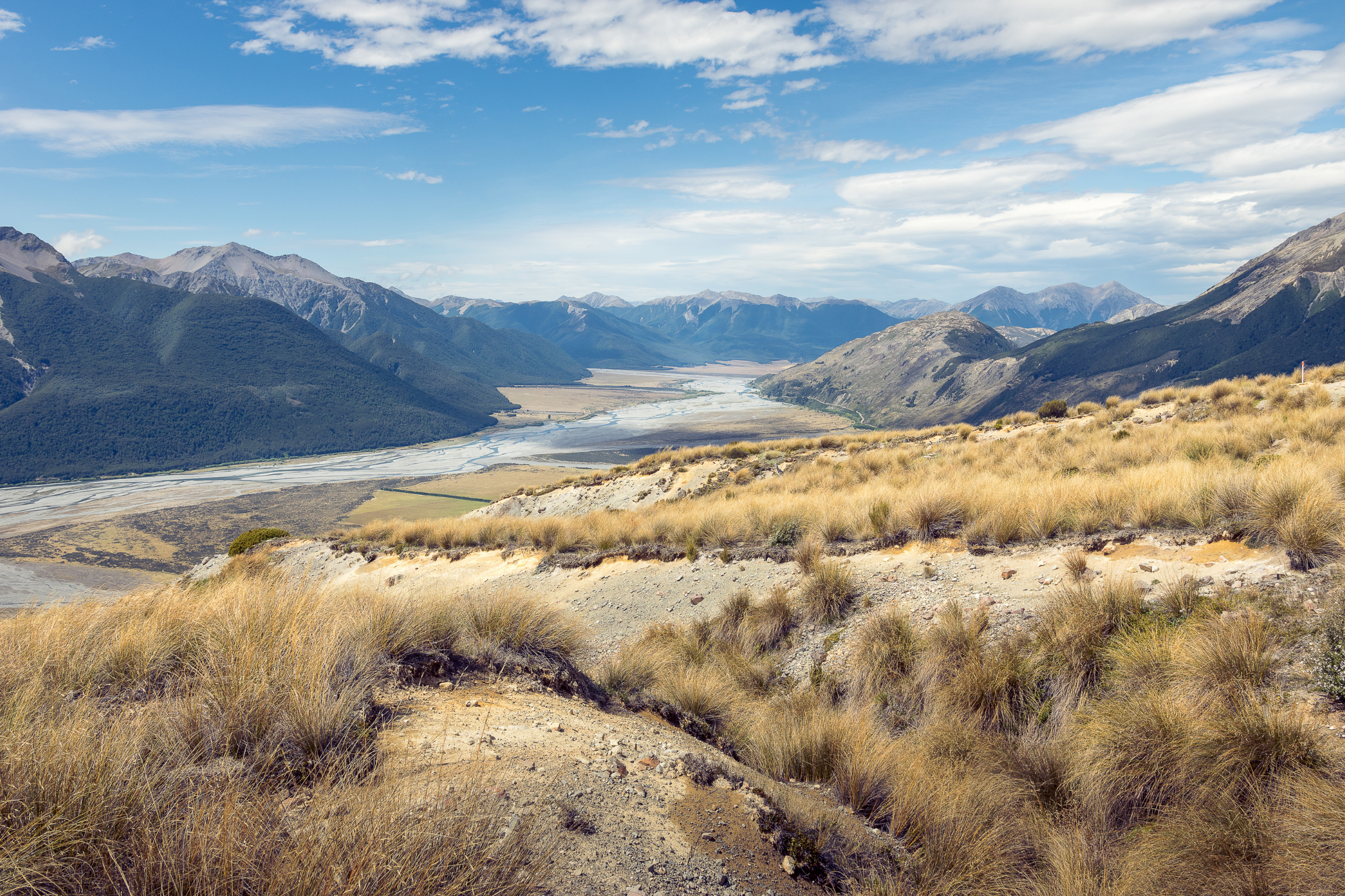 arthur’s pass (4).webp